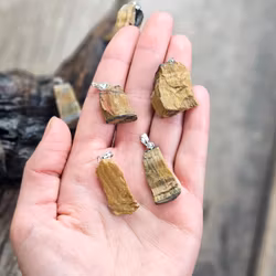 Tigeröga rå, silverpläterat hänge