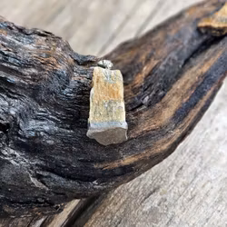 Tigeröga rå, silverpläterat hänge