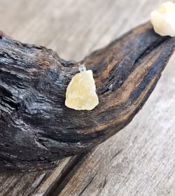 Gul Kalcit rå, silverpläterat hänge