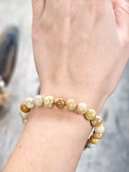 Förstenad Korall Fossil, armband 8mm runda pärlor