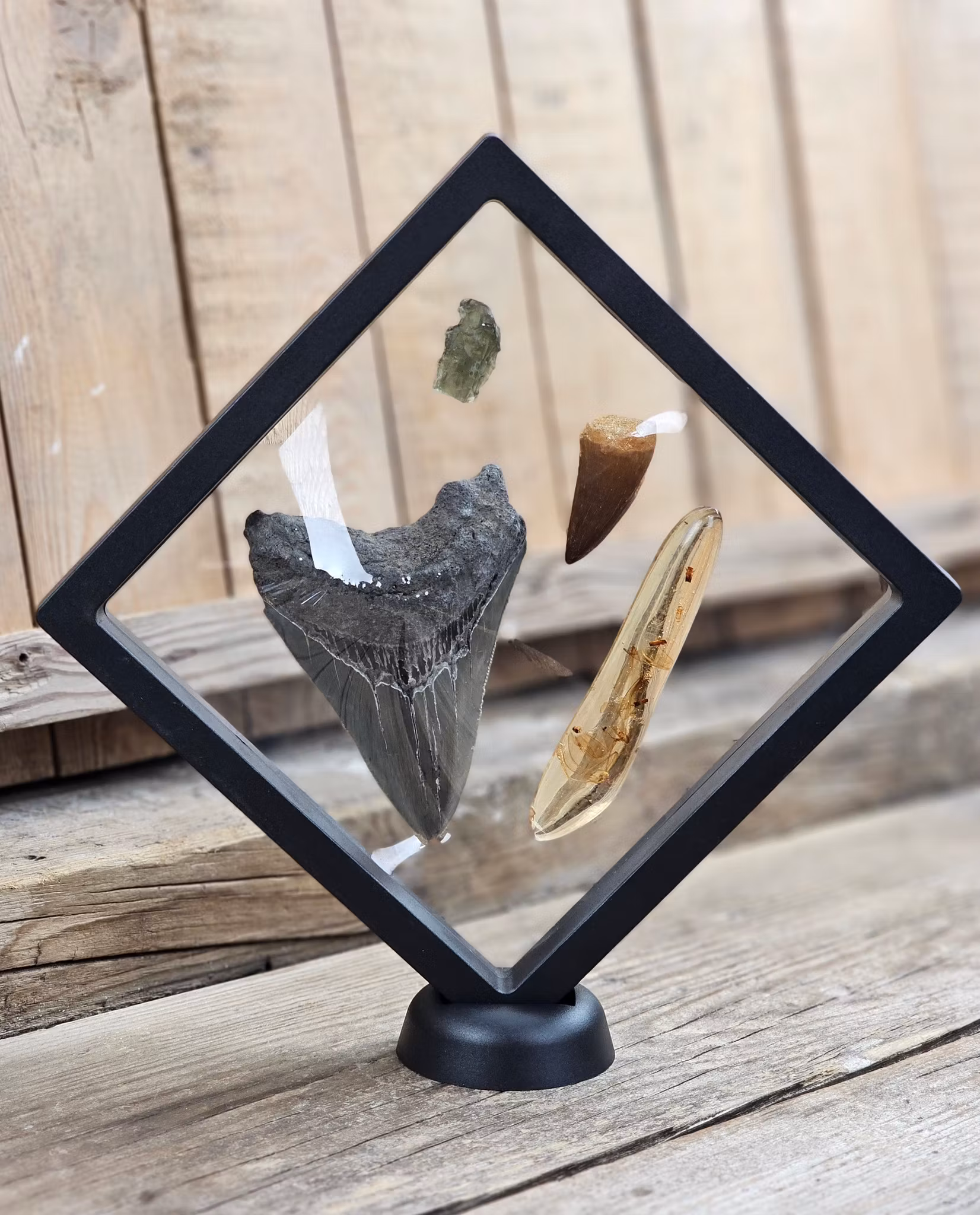 Display till kristaller/fossiler, XL svart