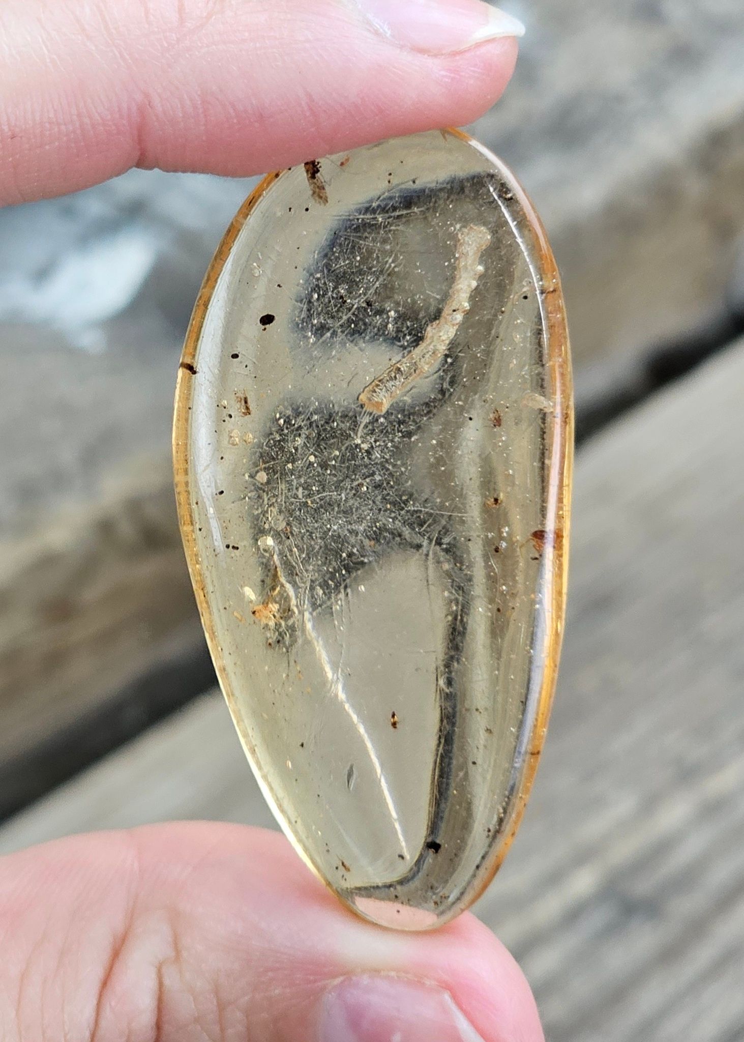 Copal med insekter