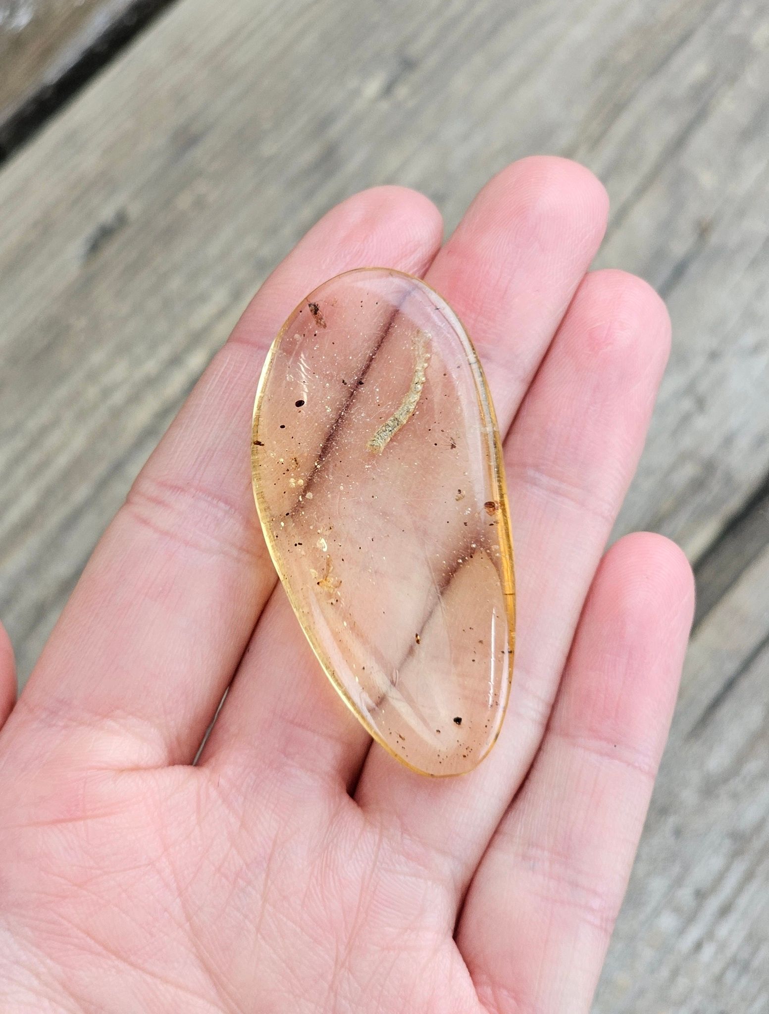 Copal med insekter