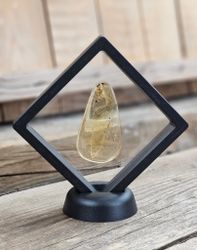 Copal med insekter #4