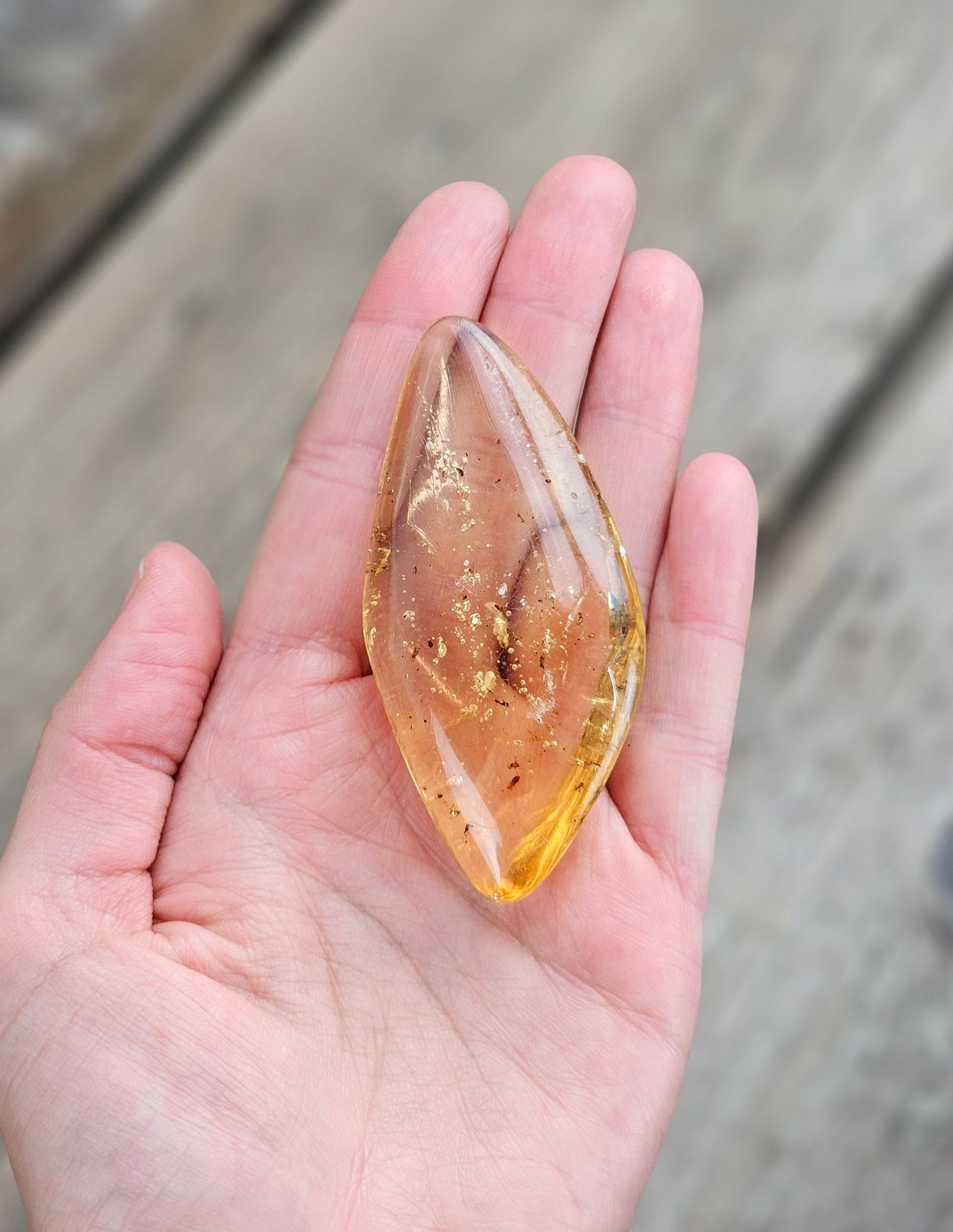 Copal med insekter