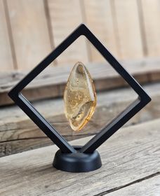 Copal med insekter #7