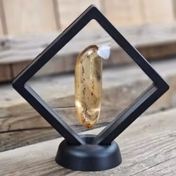 Copal med insekter #9