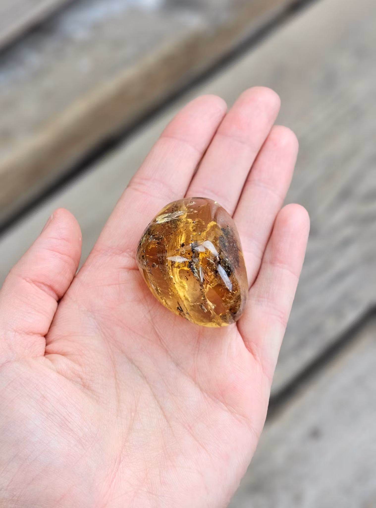 Copal med insekter #10