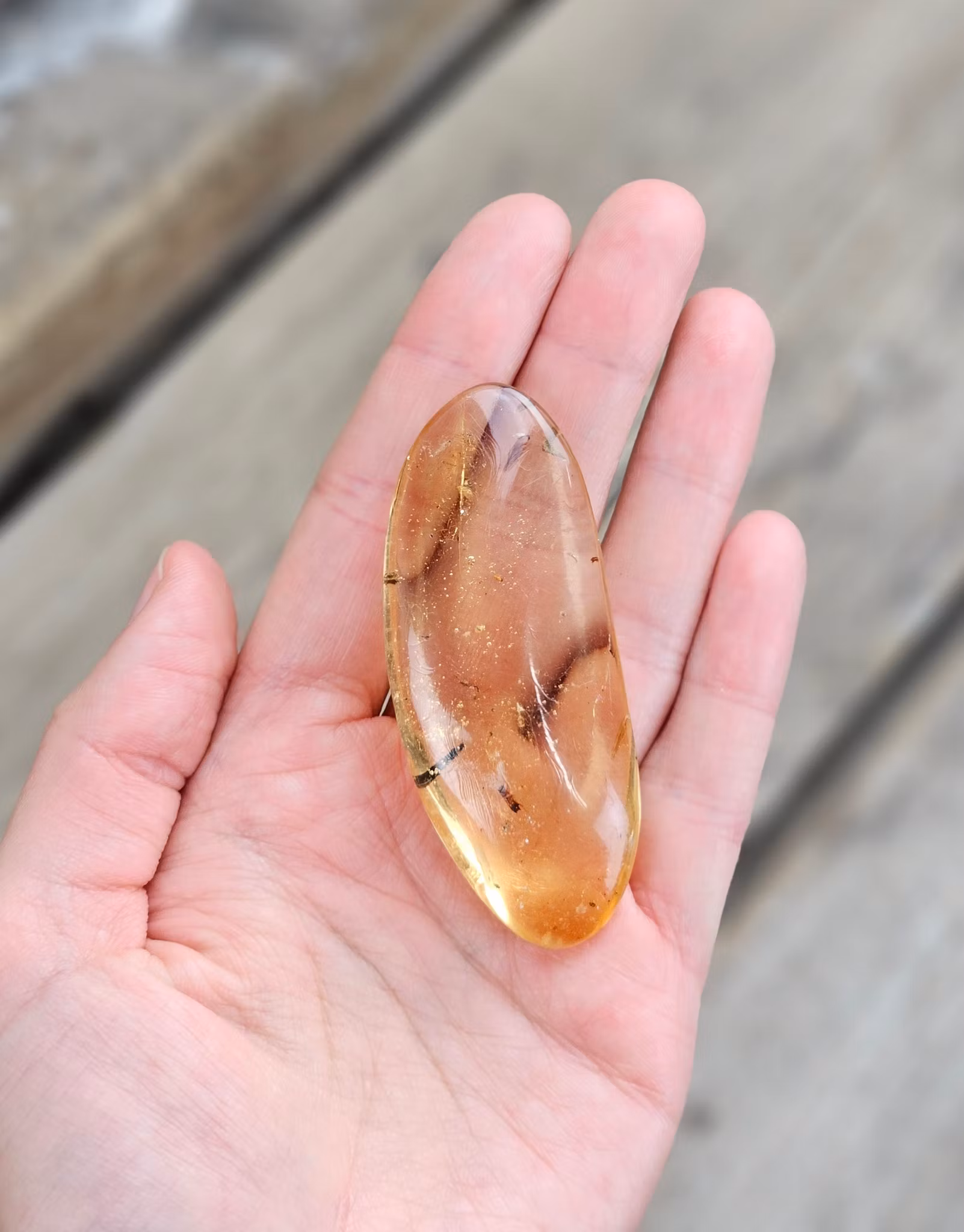 Copal med insekter