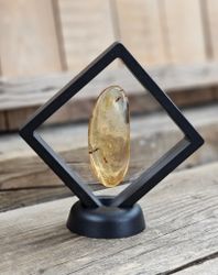 Copal med insekter #11