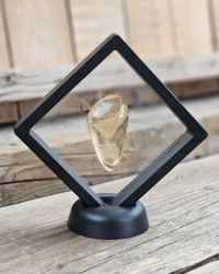 Copal med insekter #14