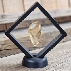 Copal med insekter #14