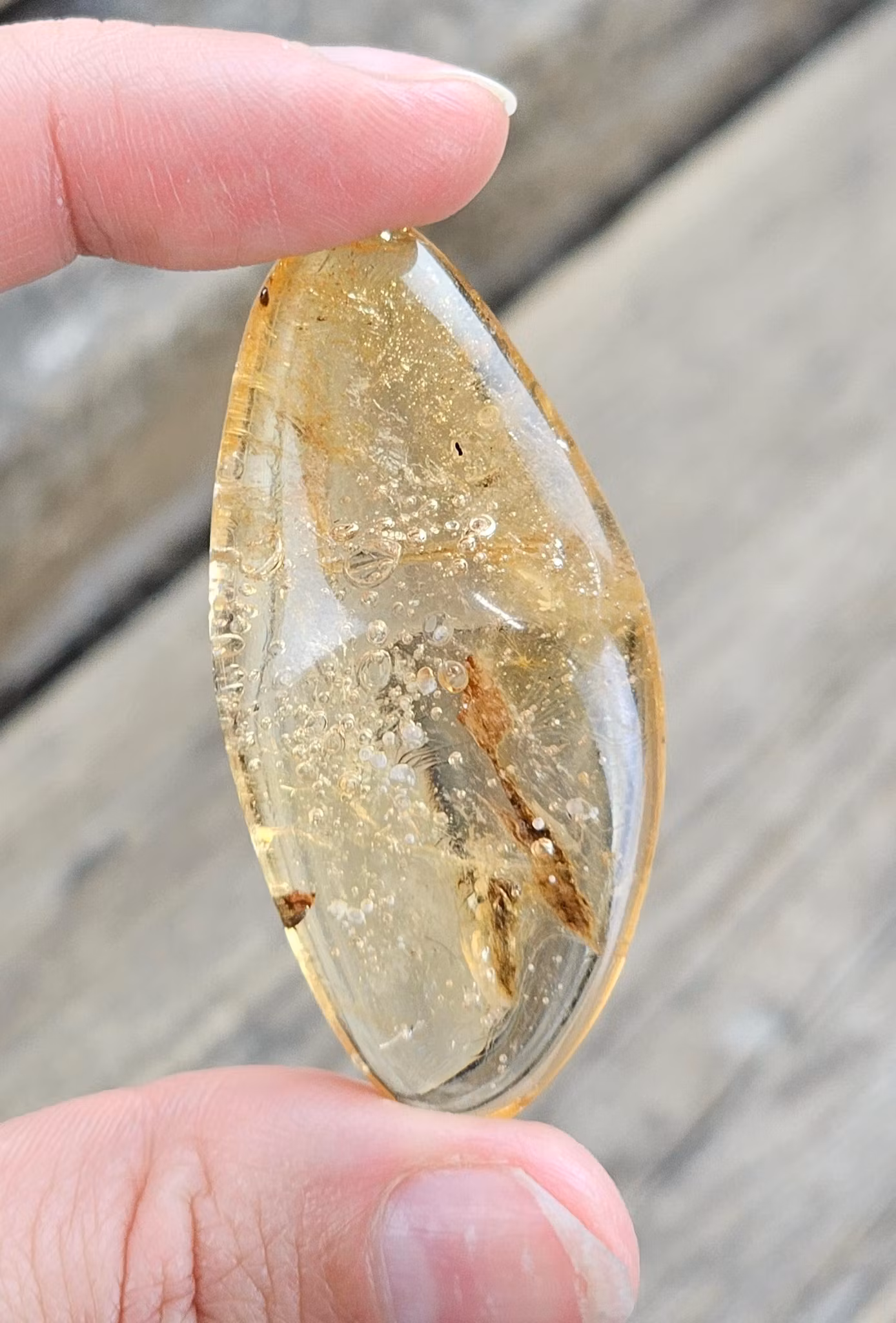 Copal med insekter