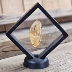 Copal med insekter #17