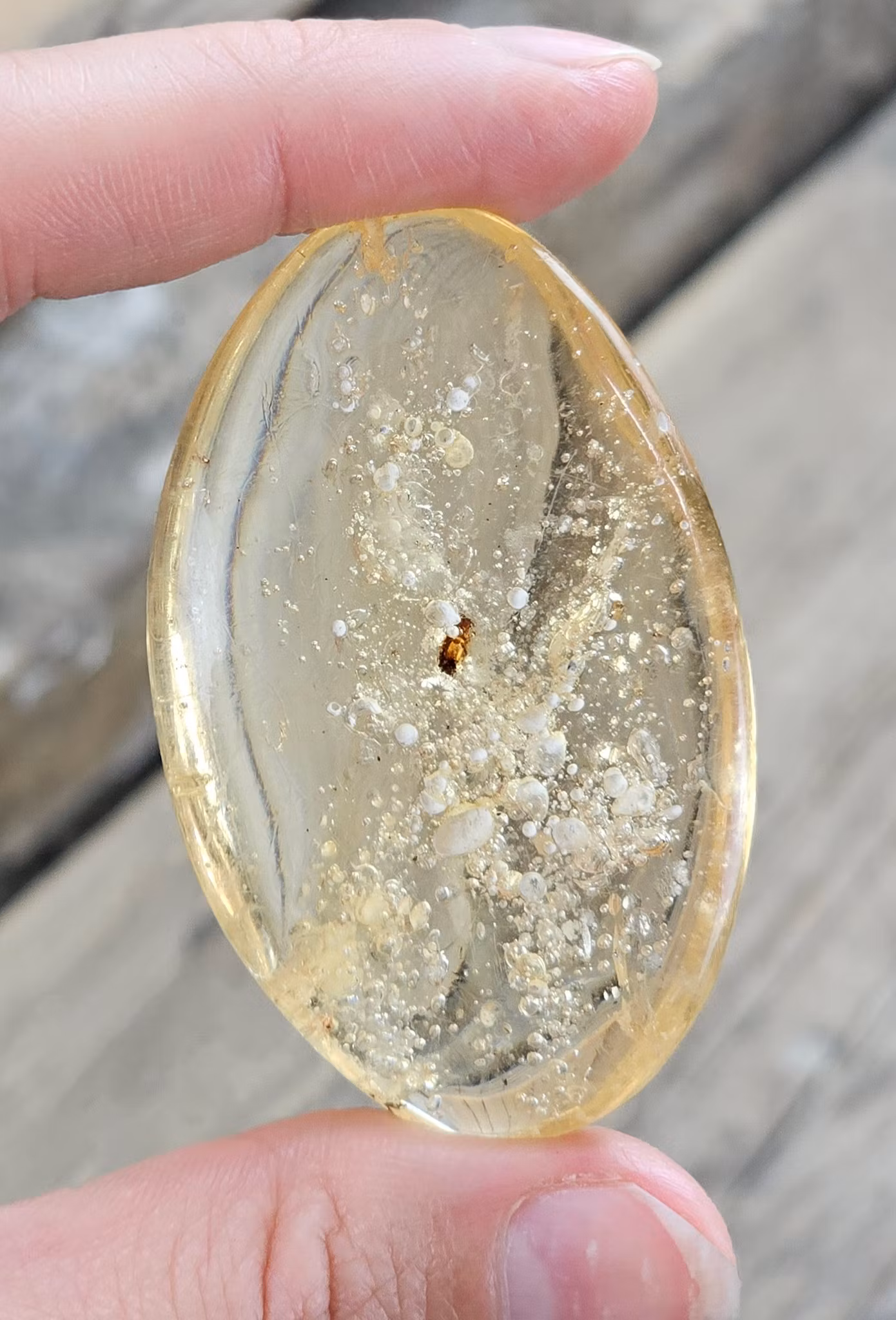 Copal med insekter