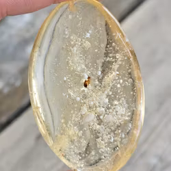 Copal med insekter #18