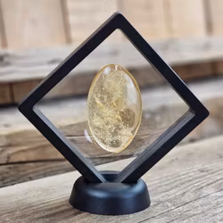 Copal med insekter #18