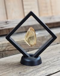 Copal med insekter #20