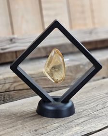 Copal med insekter #20