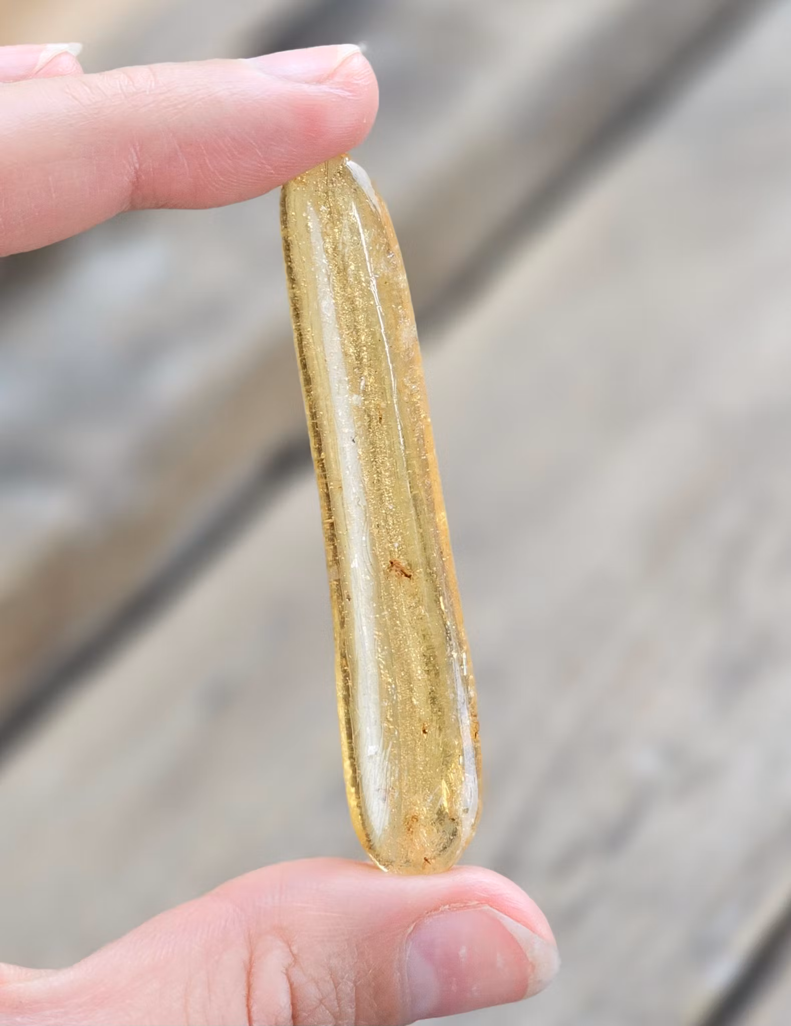 Copal med insekter