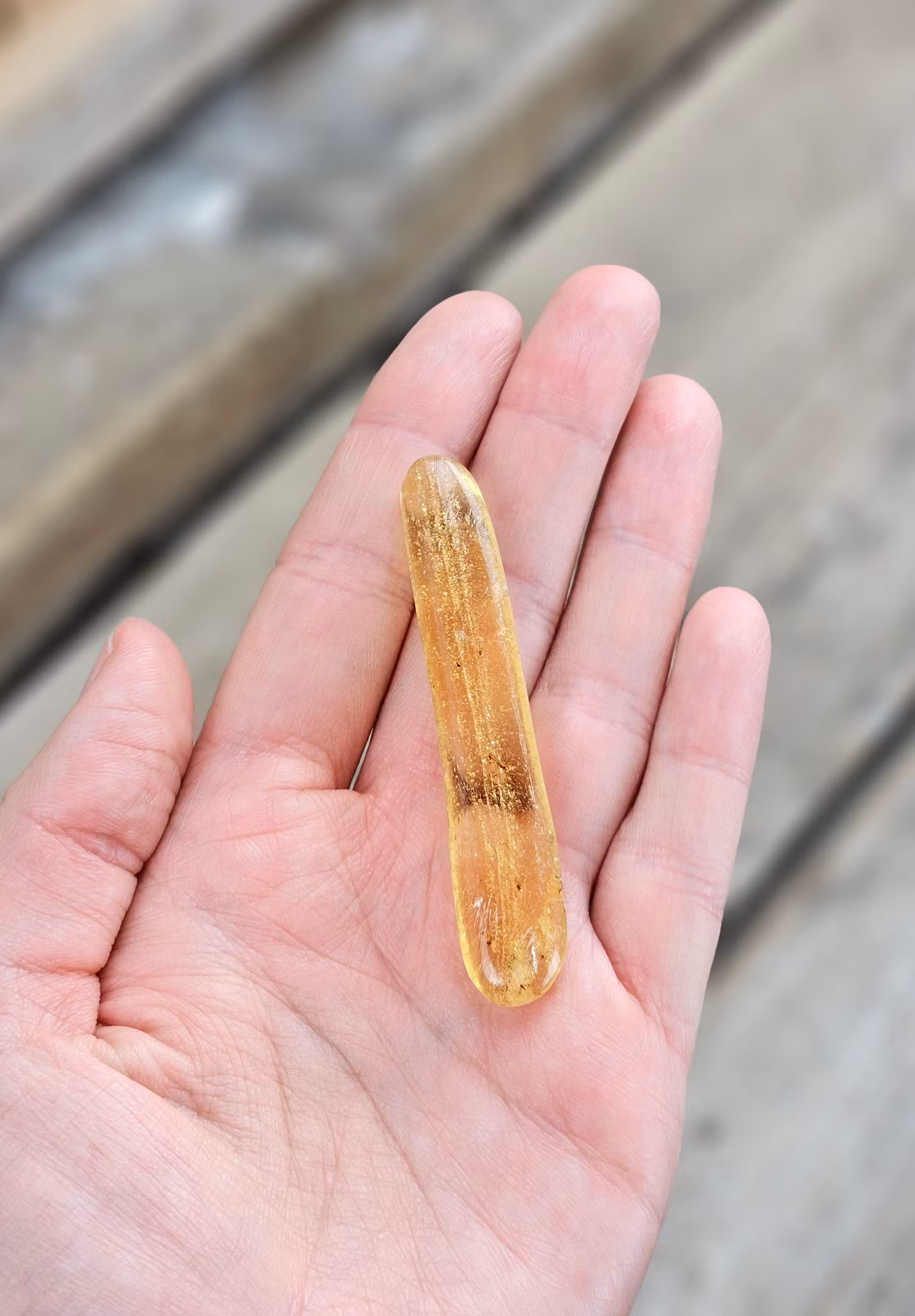 Copal med insekter