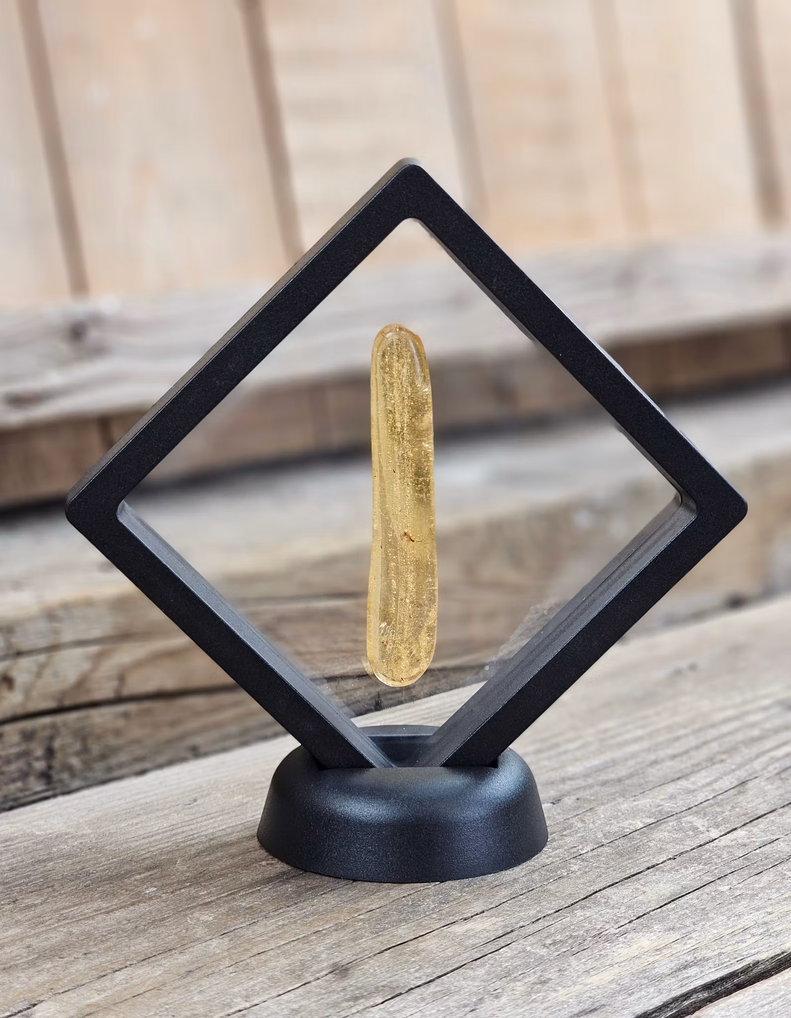 Copal med insekter