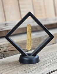 Copal med insekter #21
