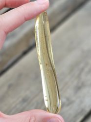 Copal med insekter #22