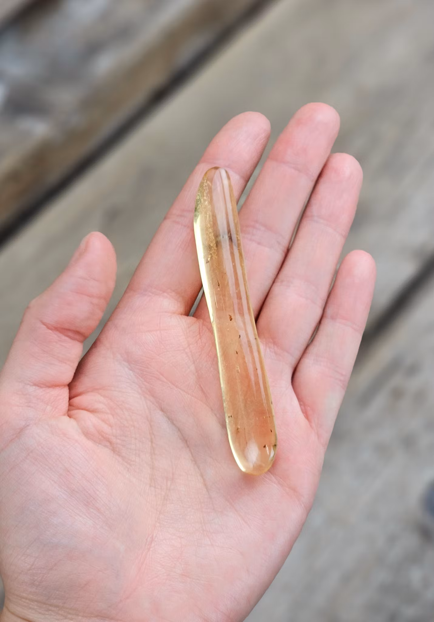 Copal med insekter