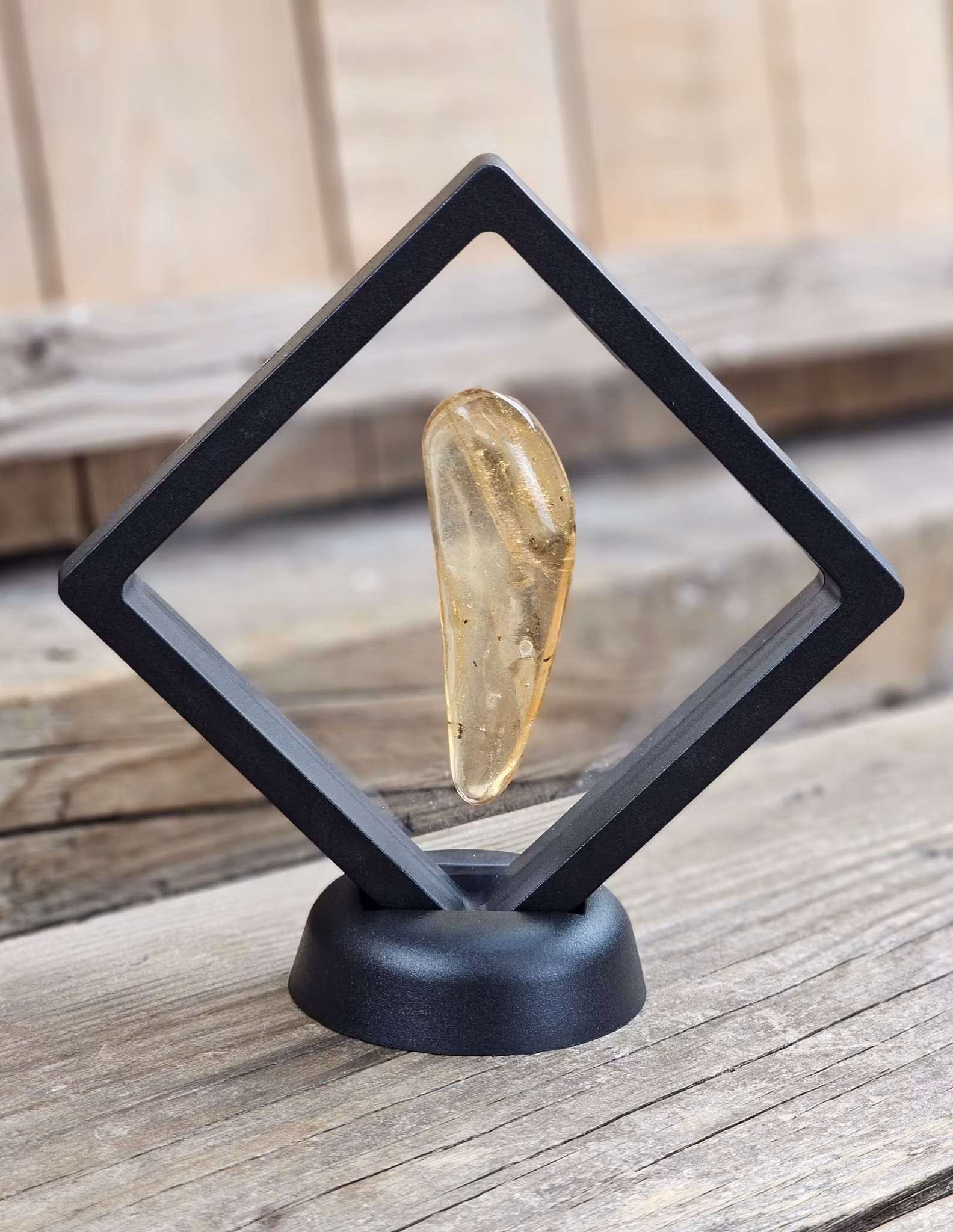 Copal med insekter #23