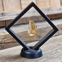 Copal med insekter #25