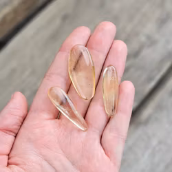 Copal med insekter, kit #1