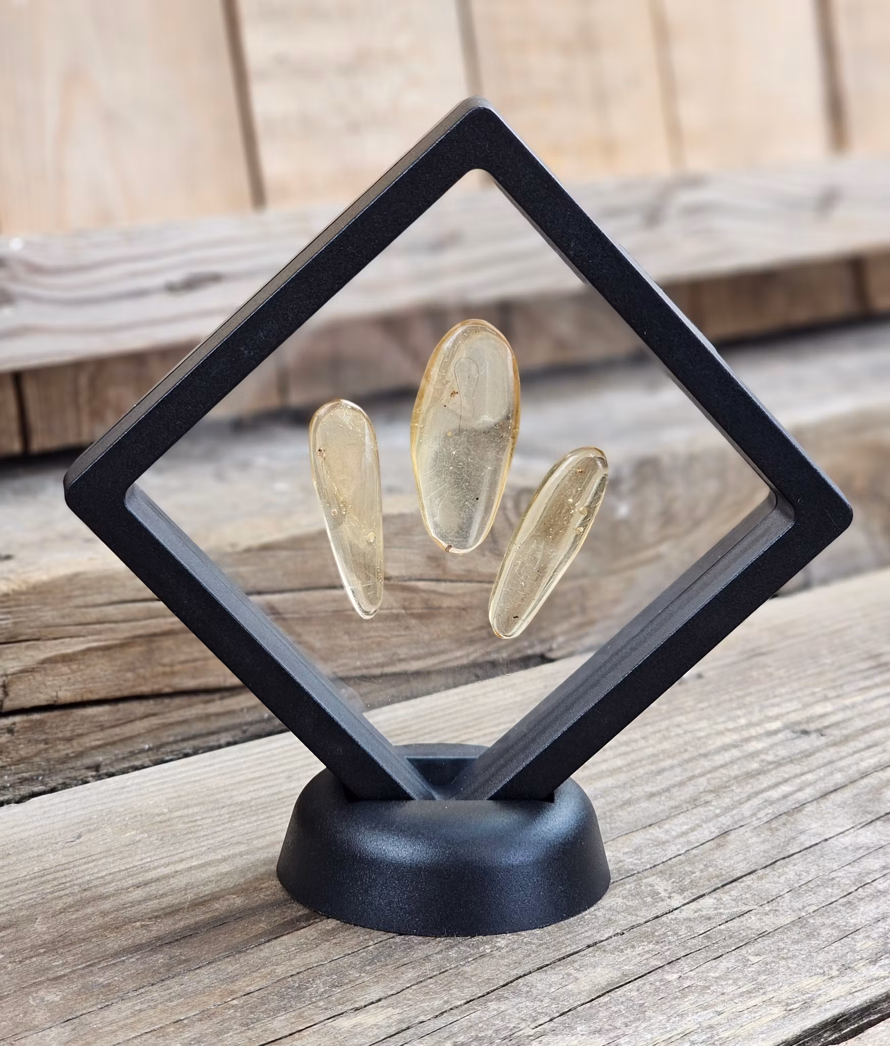 Copal med insekter, kit