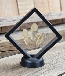 Copal med insekter, kit #1