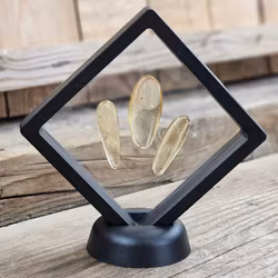 Copal med insekter, kit #1