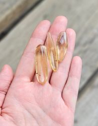 Copal med insekter, kit #2