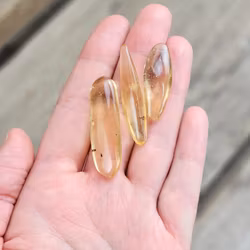 Copal med insekter, kit #2