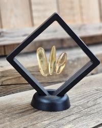 Copal med insekter, kit #2