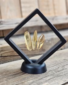 Copal med insekter, kit #2