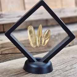 Copal med insekter, kit #2