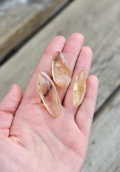 Copal med insekter, kit #3