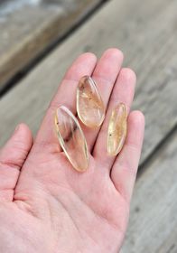 Copal med insekter, kit #3