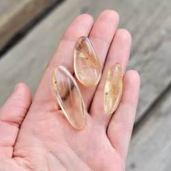 Copal med insekter, kit #3