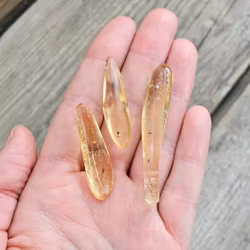 Copal med insekter, kit #5