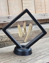 Copal med insekter, kit #5