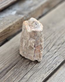 Förstenat trä, stubbe #18