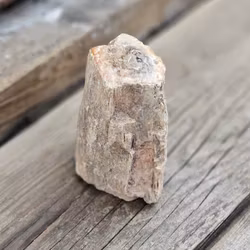 Förstenat trä, stubbe #18