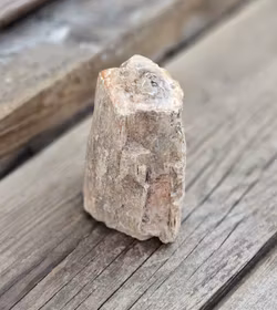 Förstenat trä, stubbe #18