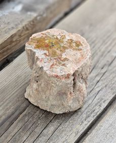 Förstenat trä, stubbe #25