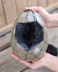 Septarian (Draksten) Ägg, XXL polerad 5,5 kg
